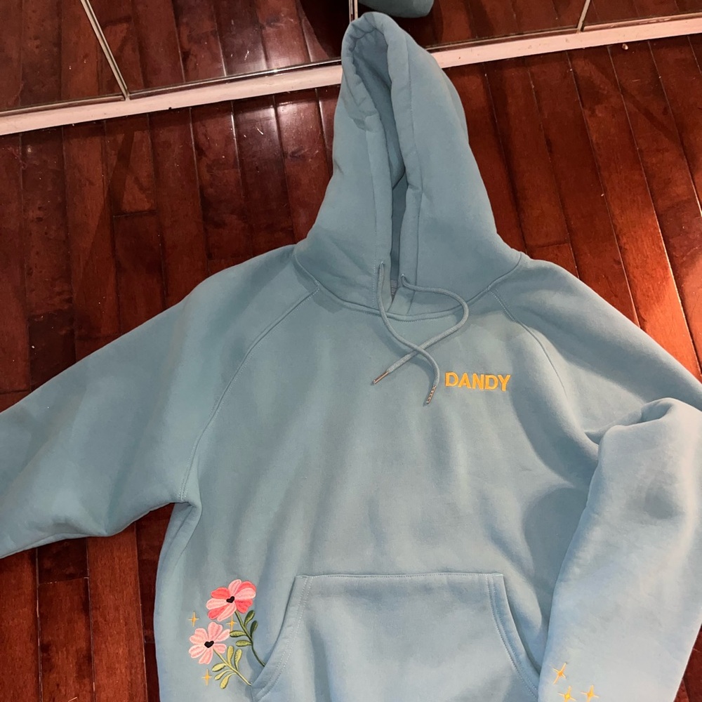 Dandy sweatshirt. Never worn. No tags. No stains or tears. Non smoking home.